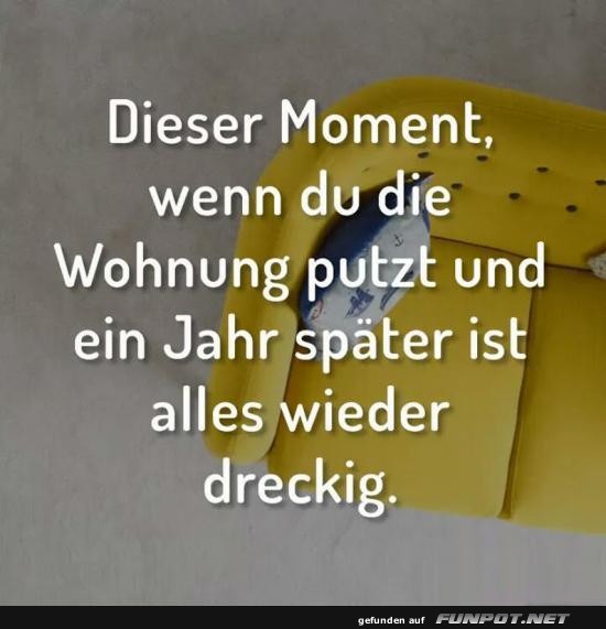 Und täglich grüßt das Sofa-Chaos!