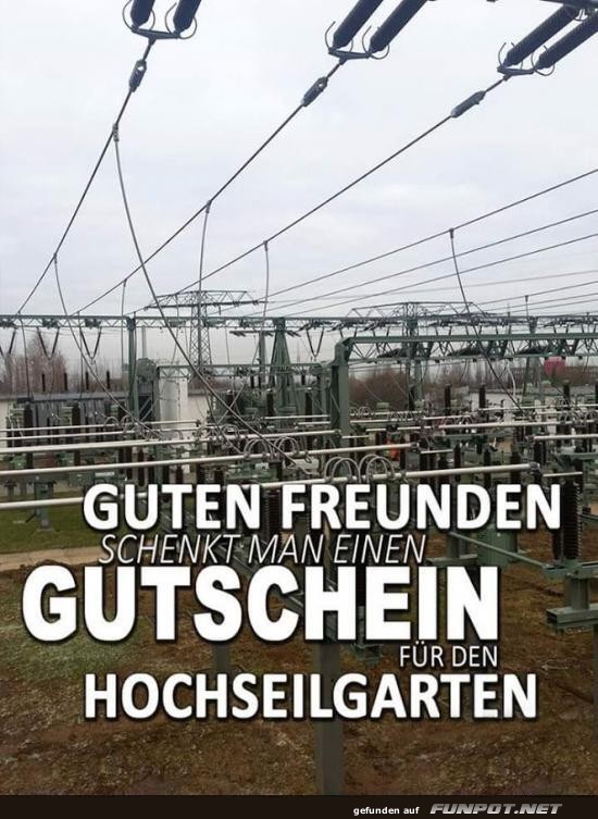 Energiegeladen im Hochseilgarten!