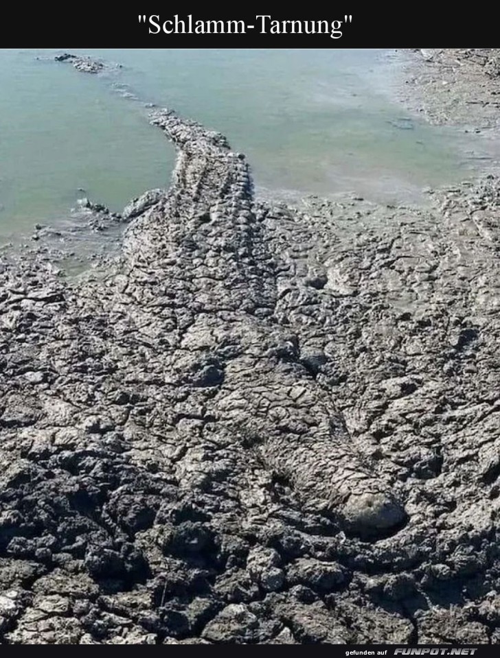 Wo ist das Krokodil? Suchspiel für Fortgeschrittene