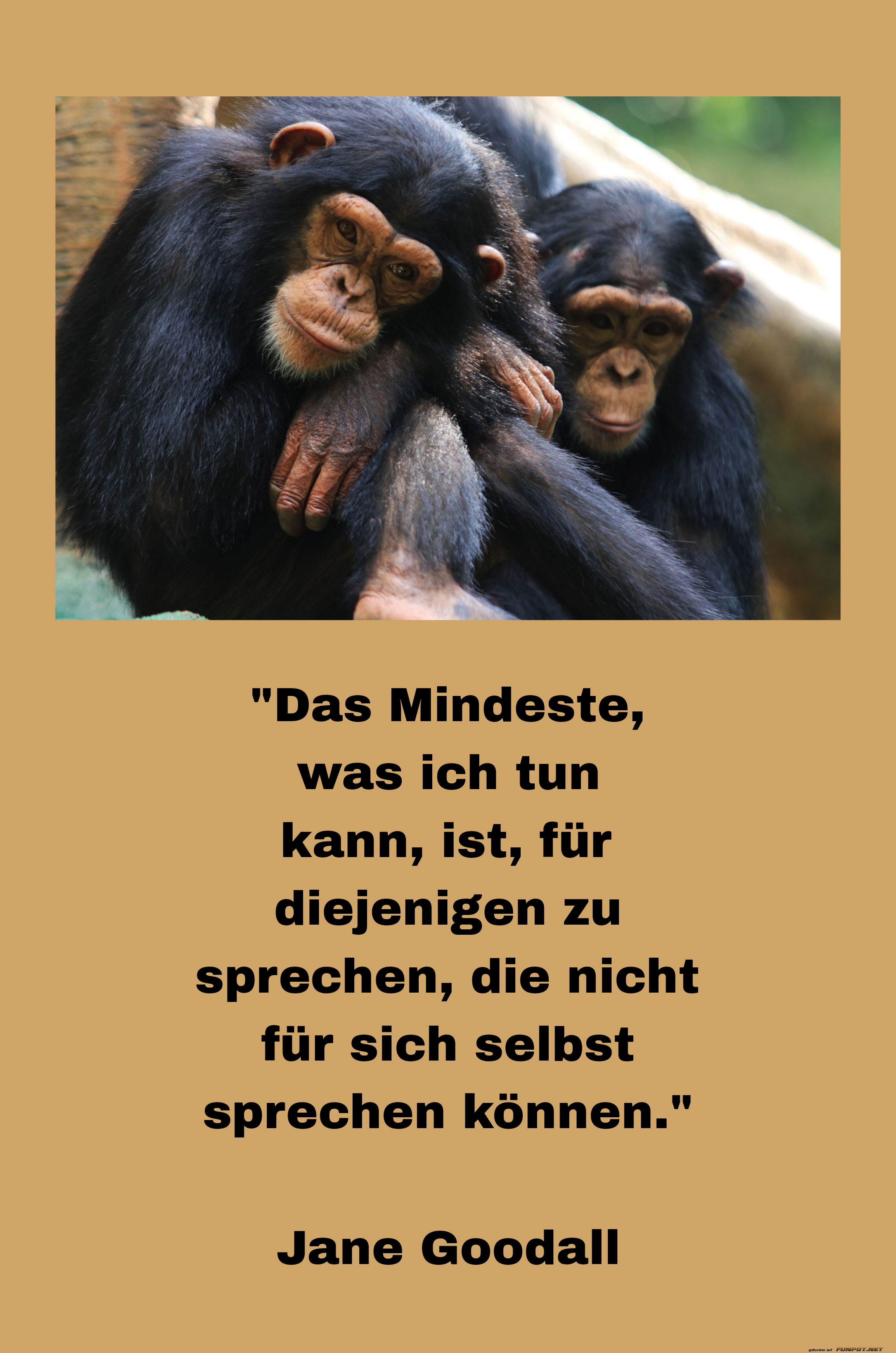 das mindeste, was ich tun kann