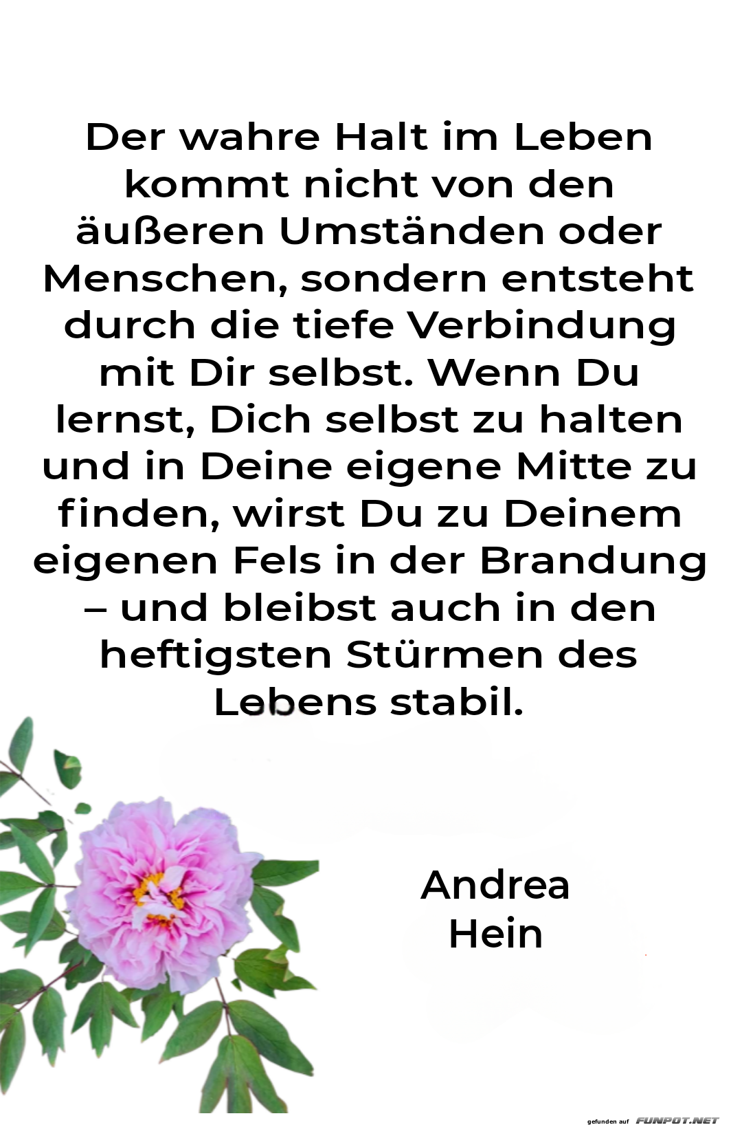 der wahre halt