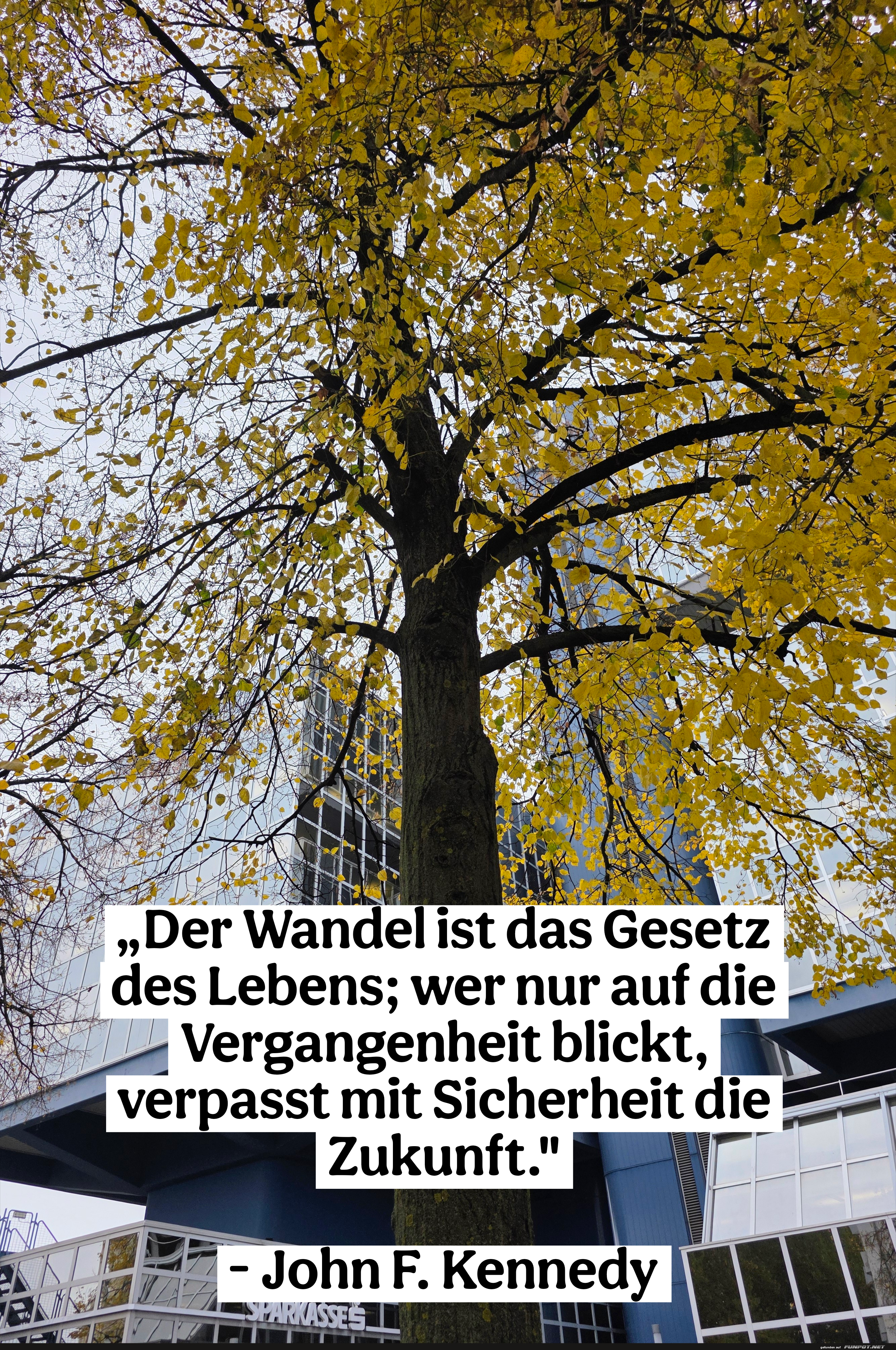 der wandel ist das gesetz