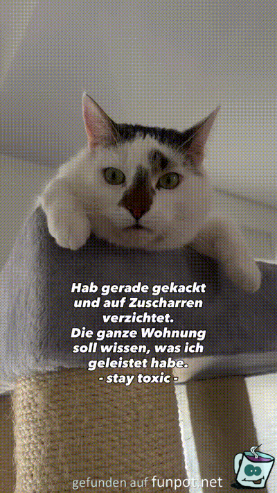 Die Katze wieder