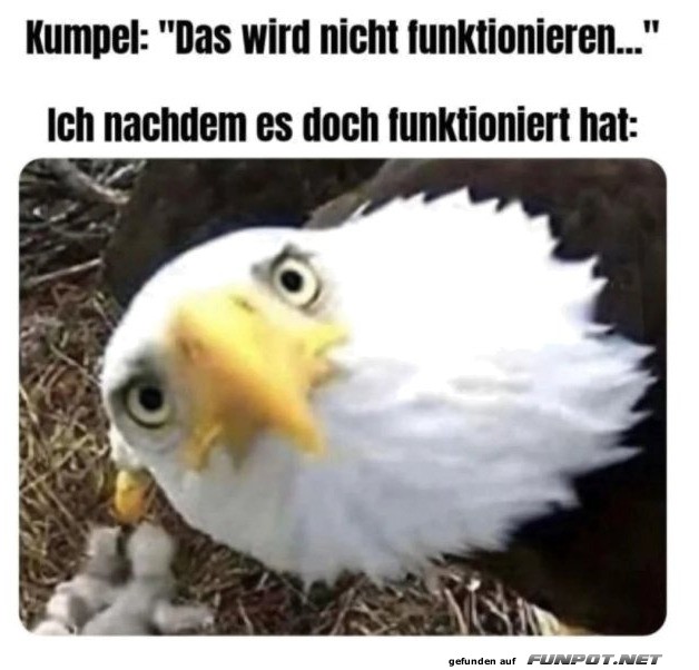 Jetzt guckst du