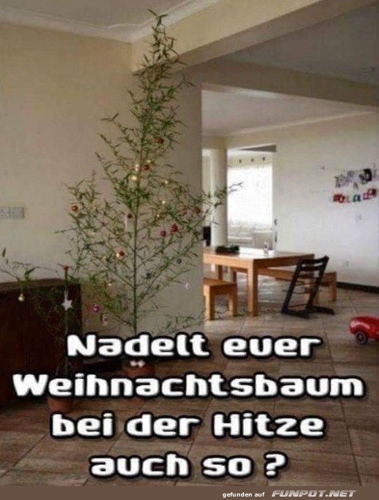 Sommerlicher Weihnachtszauber!