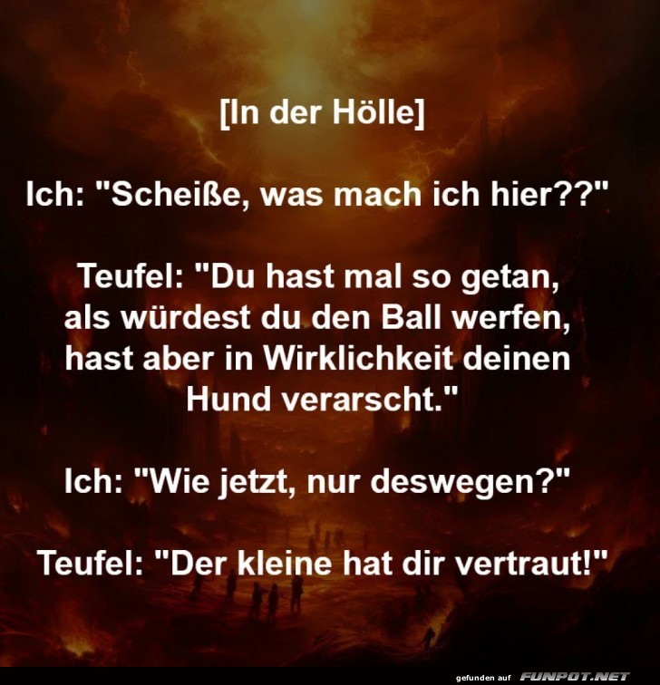 Der ersch�tternde Hunde-Betrug