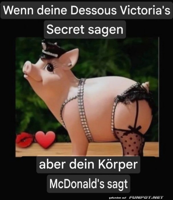 Wenn Schweinchen in die Dessous schl�pft