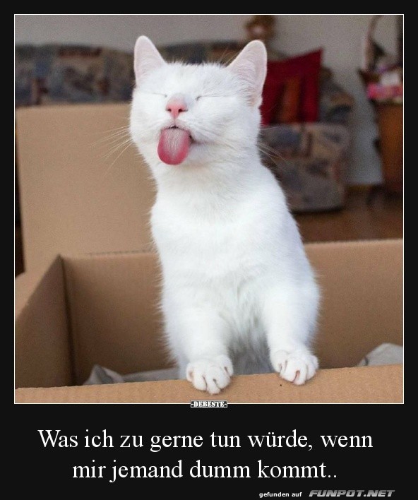Das sieht lustig aus