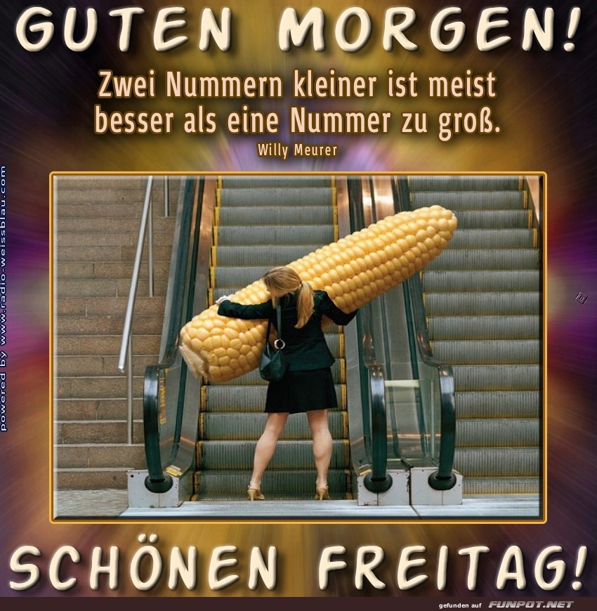Elevator-Rätsel: Riesenkolben im Pendelverkehr!