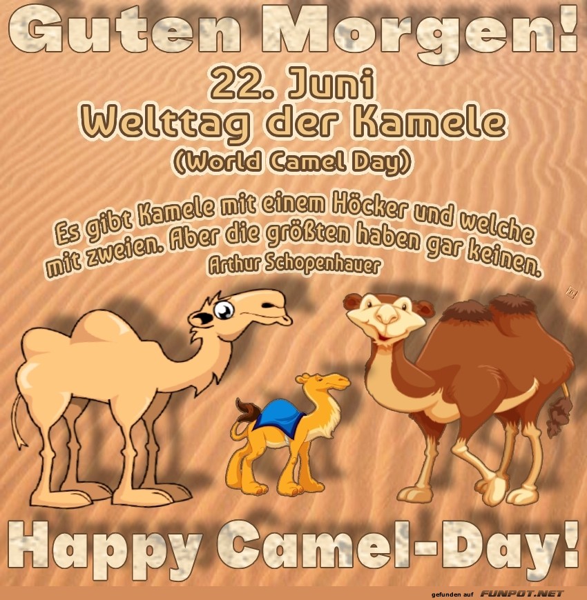Welttag der Kamele