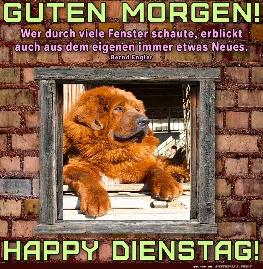 Dienstag
