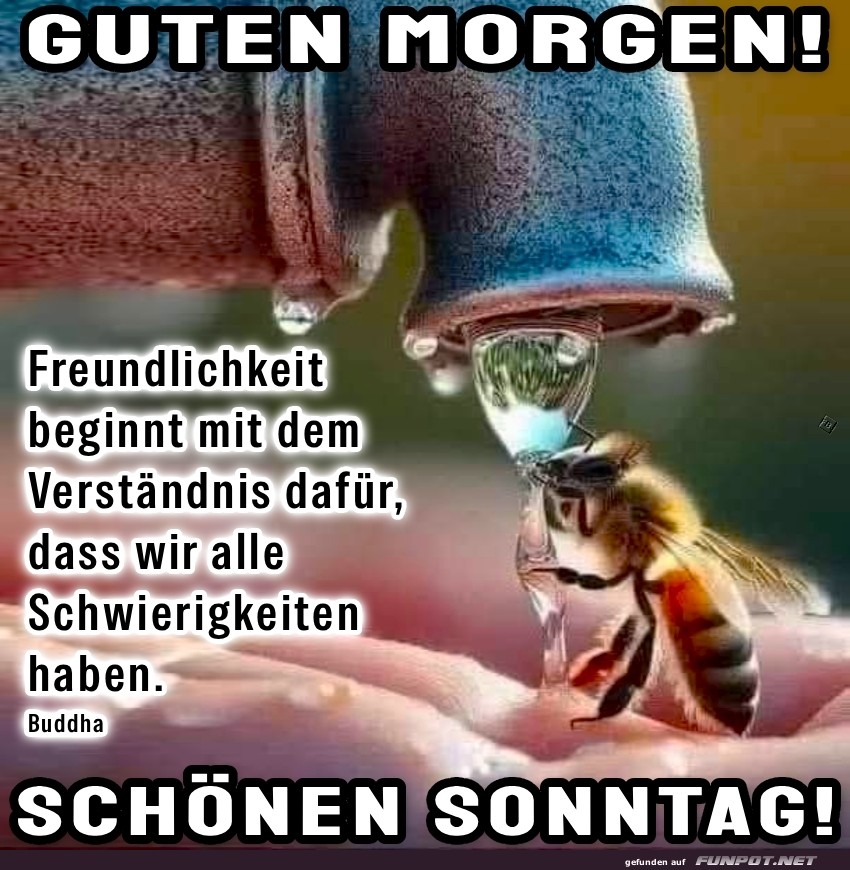 Sonntag