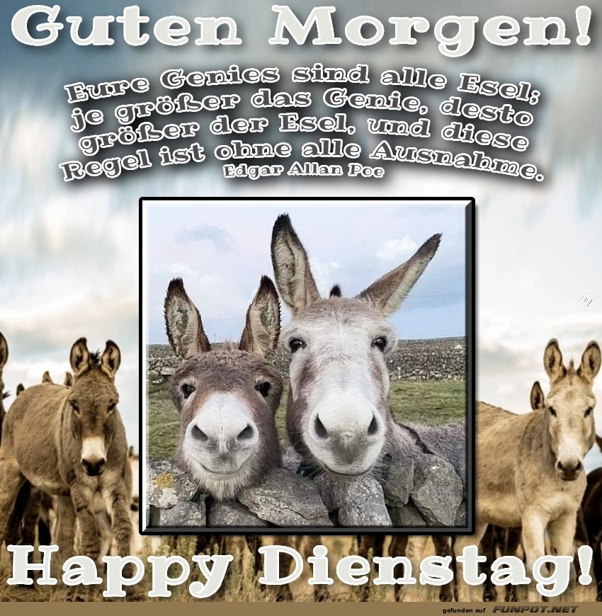 Dienstag