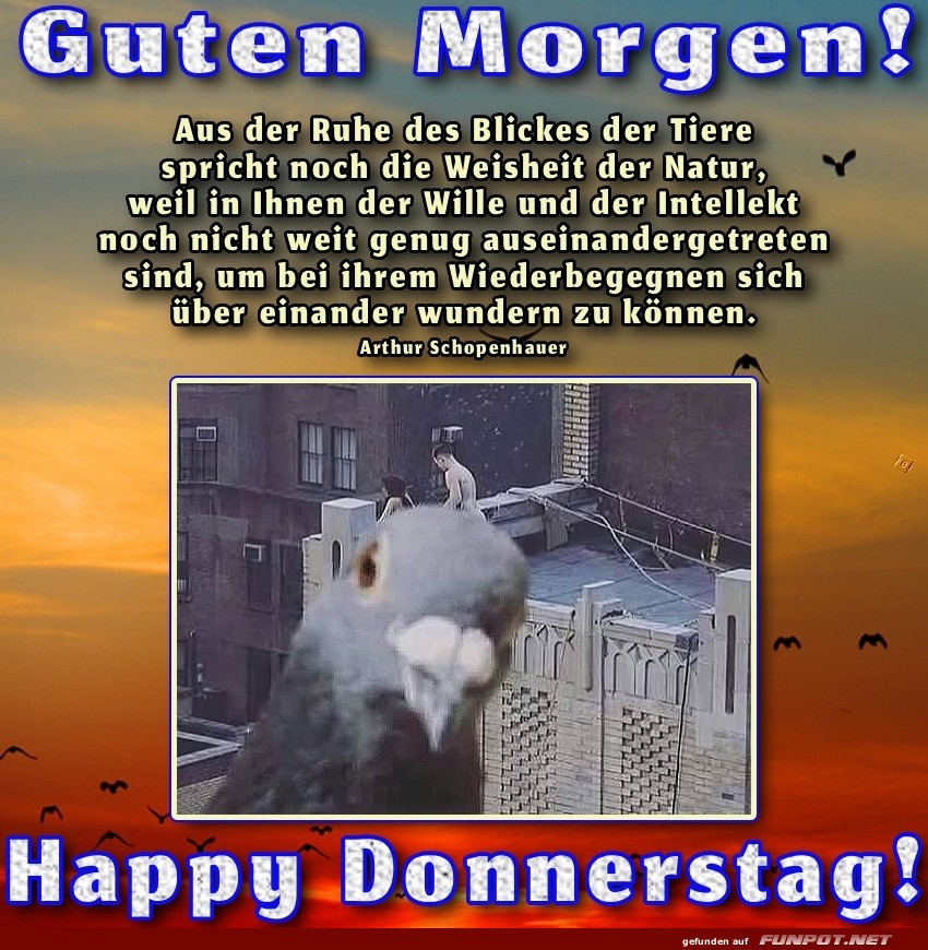 Donnerstag