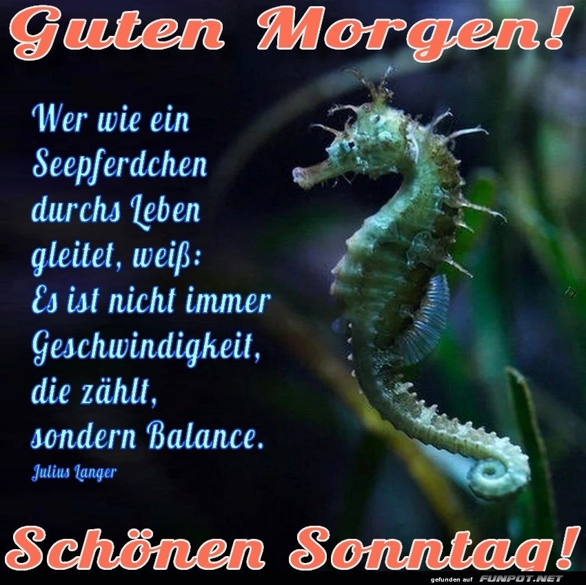 Sonntag