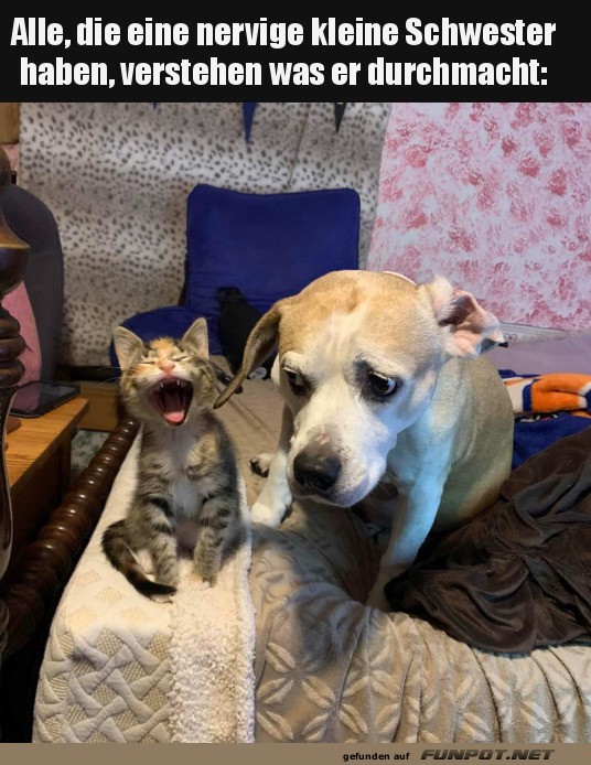 Wenn die kleine Schwester nervt!