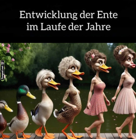Vom Entenküken zur Diva: Ein Werdegang Vom Entenküken zur Diva: Ein Werdegang