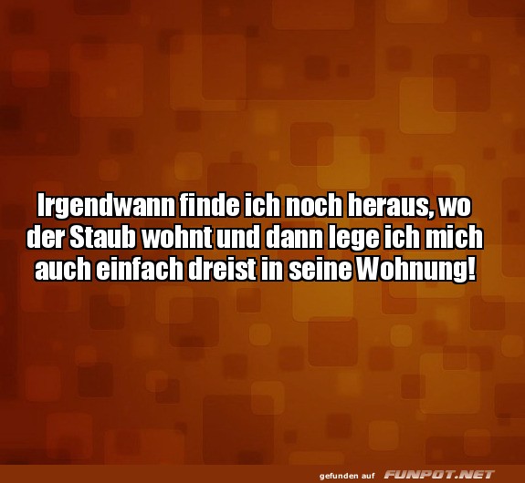 Staubdetektiv im Einsatz!