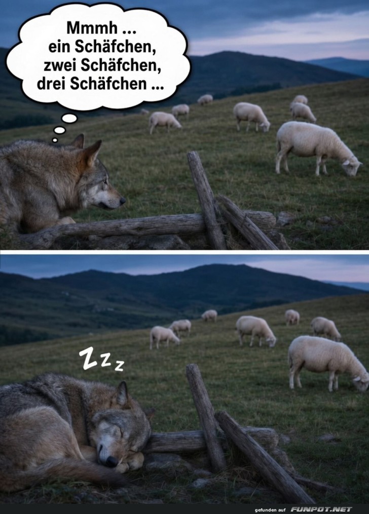 Wer schläft, der zählt nicht!