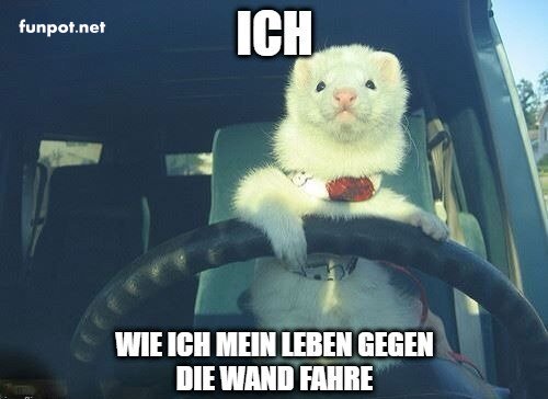 Wenn das Leben eine Vollbremsung braucht