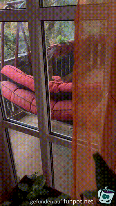 Dem Hasen gefällt die Schaukel Dem Hasen gefällt die Schaukel