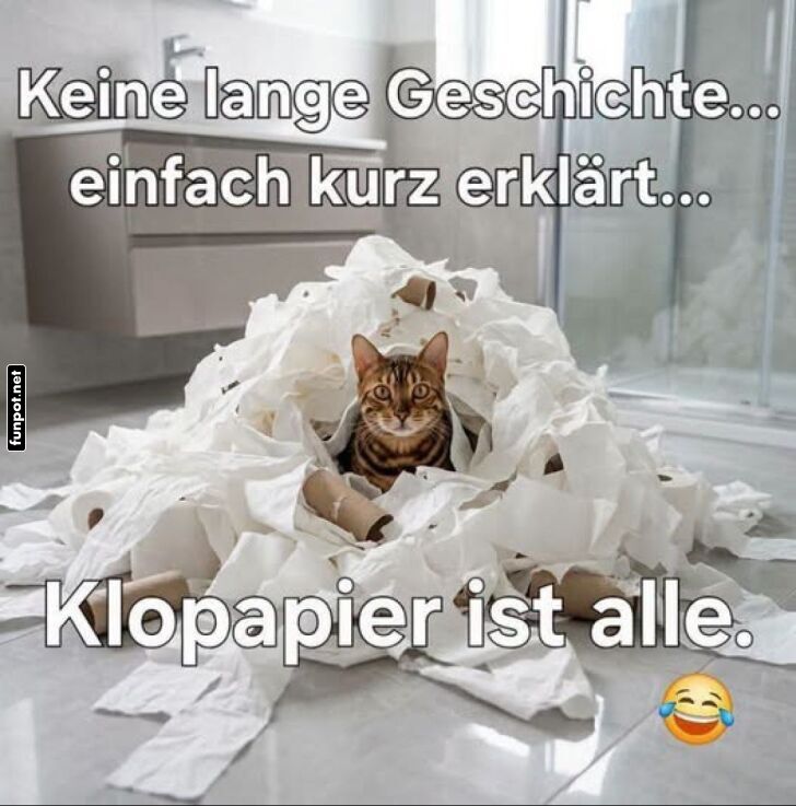 Katzenchaos im Badezimmer
