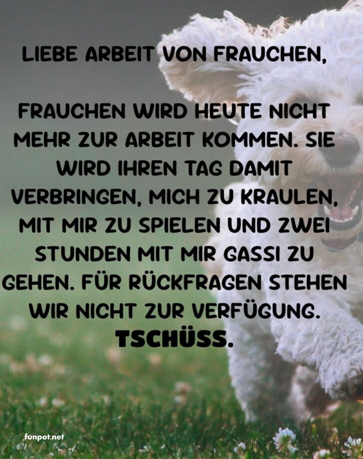 Hund schickt Frauchen in den Freizeitmodus