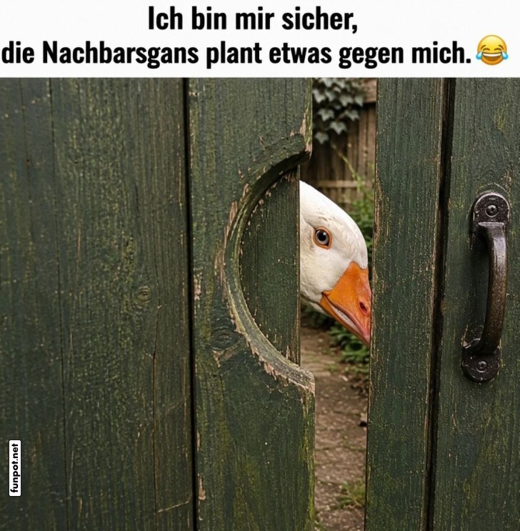 G�nse-�berwachung Deluxe