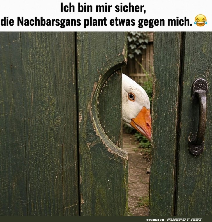 G�nse-�berwachung Deluxe