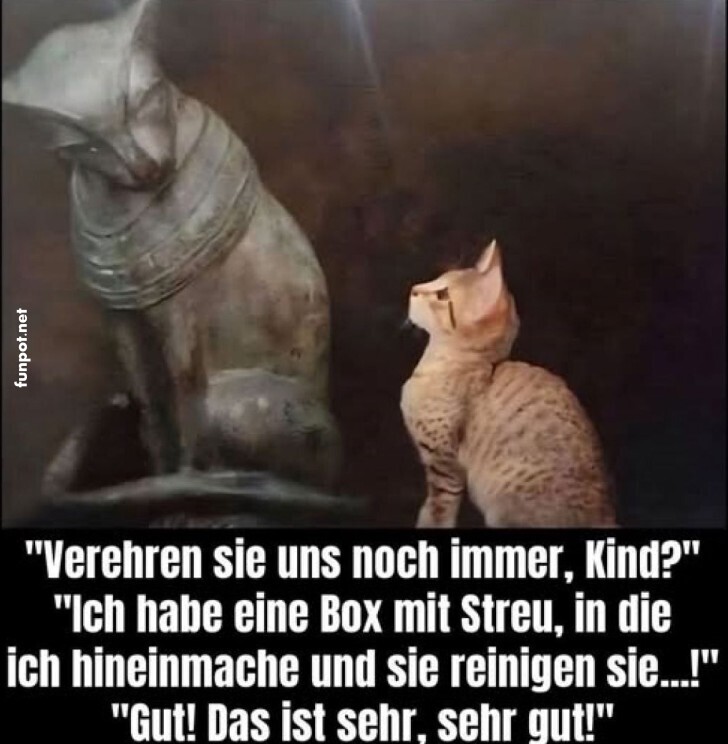 G�ttlicher Katzen-Dialog!