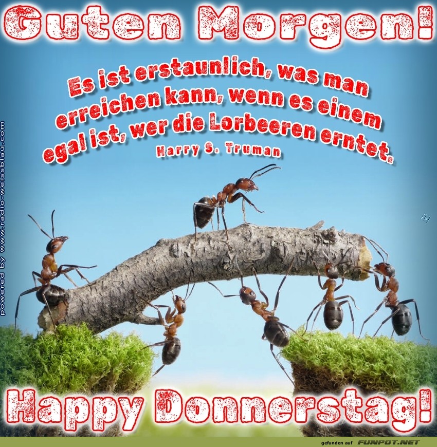 Teamwork macht den Donnerstag stark