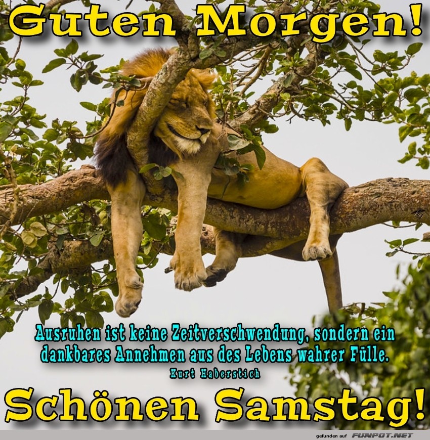 Samstag