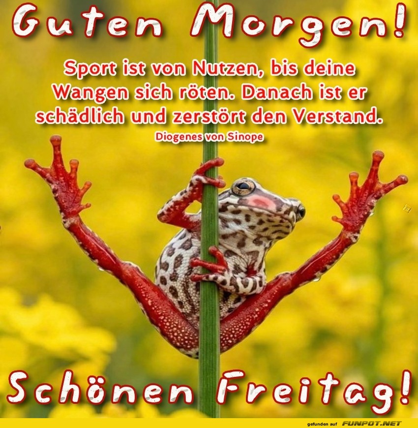 Freitag