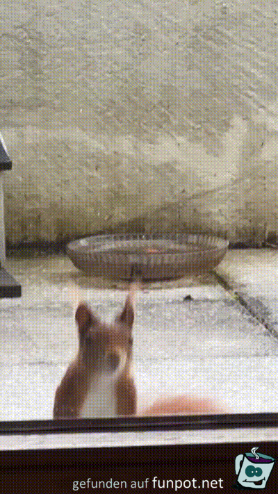 Wann wird hier ge�ffnet?