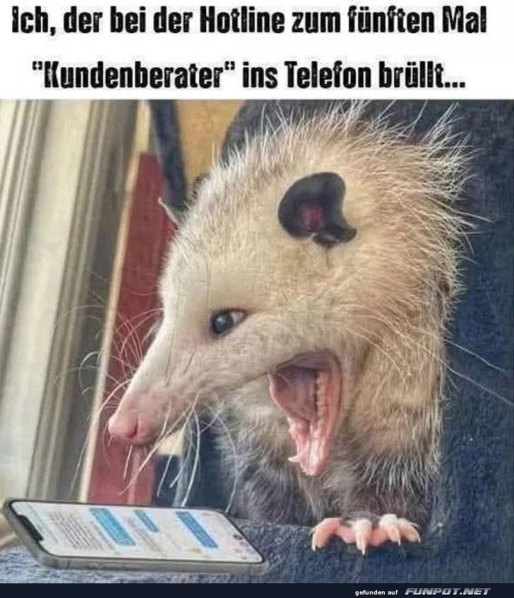 Wenn der Kundenservice dich br�llt