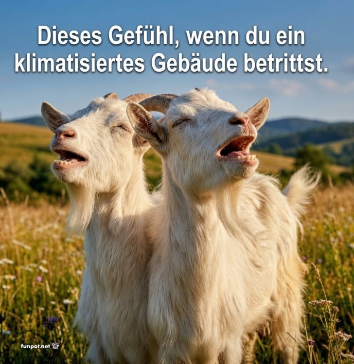 Klimatisierter Ziegen-Genuss