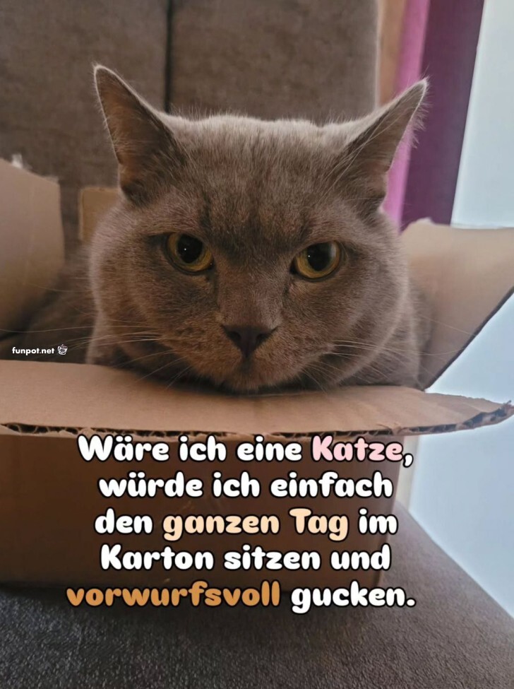 Der Kater-Karton-Kapit�n
