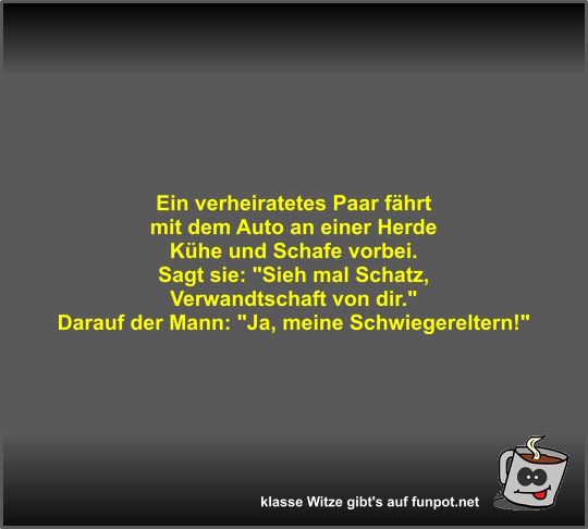 Ein verheiratetes Paar f�hrt mit dem Auto an einer Herde...