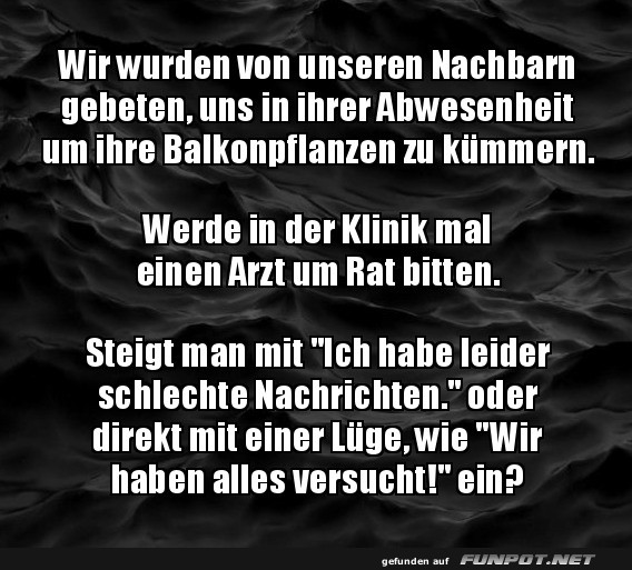 Urlaubsvertretung f�r Pflanzen