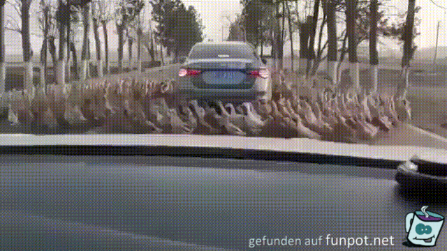 Eingekreist