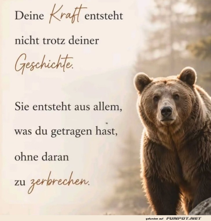 Bärenstarker Motivationsschub!