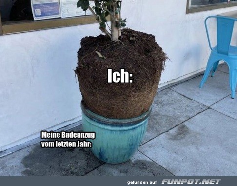 Mein Badeanzug vom letzten Jahr