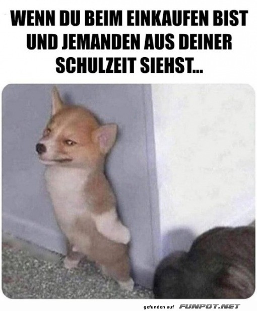 Wenn du jemanden aus der Schulzeit triffst