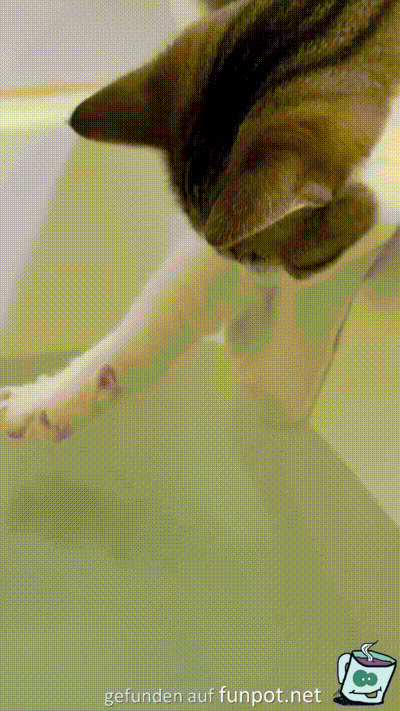 Erst mal die Wassertemperatur testen
