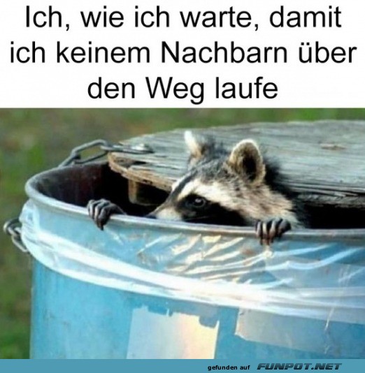 Wenn der M�lleimer mein Versteck ist
