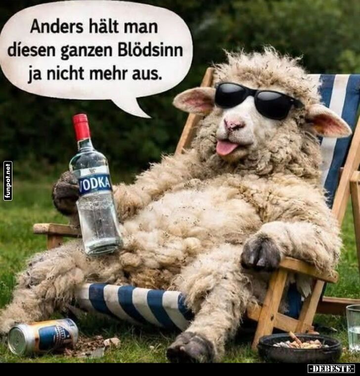 Partylamm am Limit Partylamm am Limit