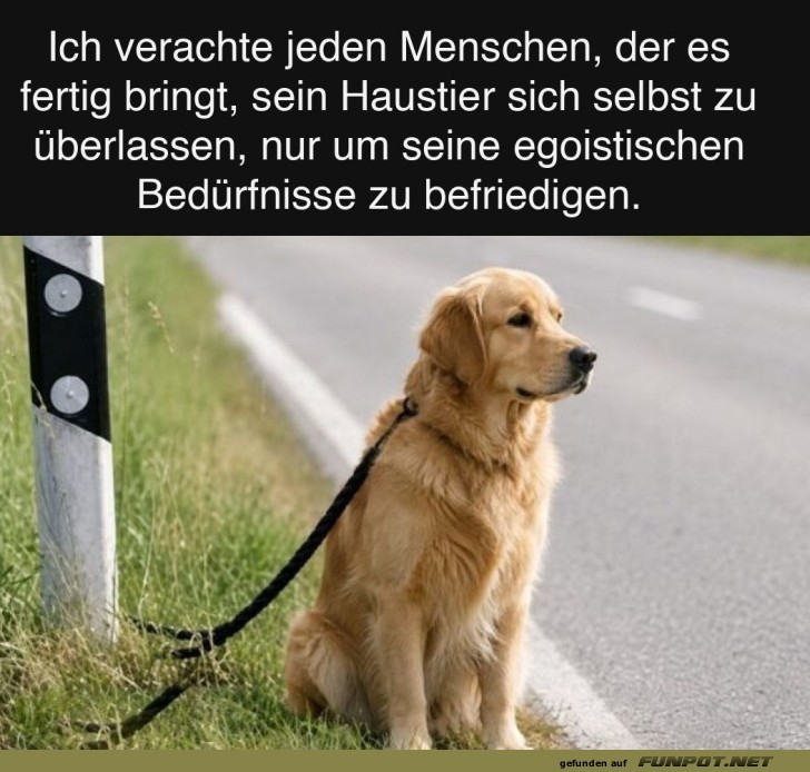 Solche Menschen gehen gar nicht