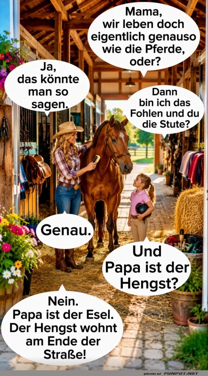 Pferdeweisheiten in der Familie