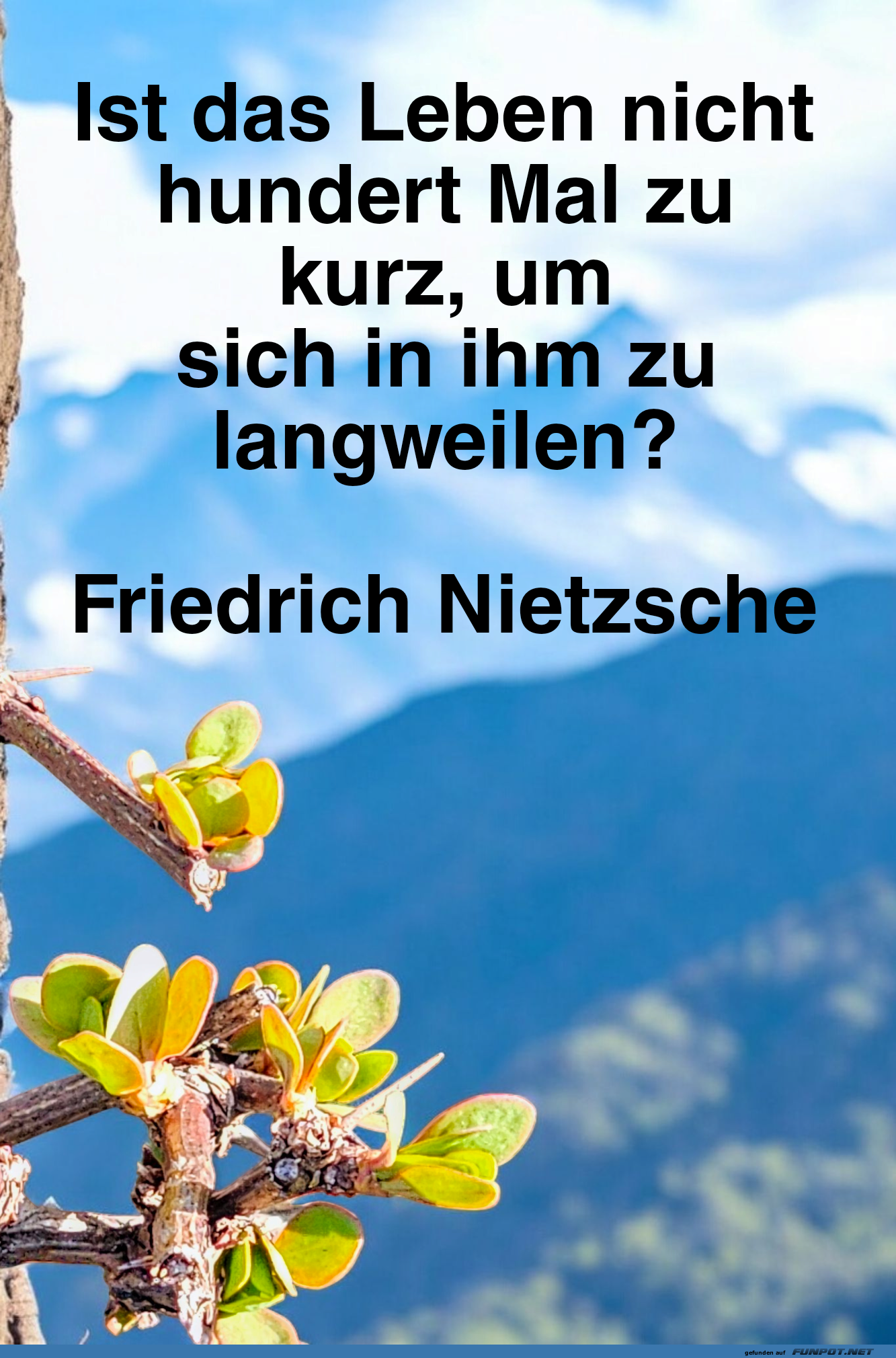 ist das leben nicht hundert mal
