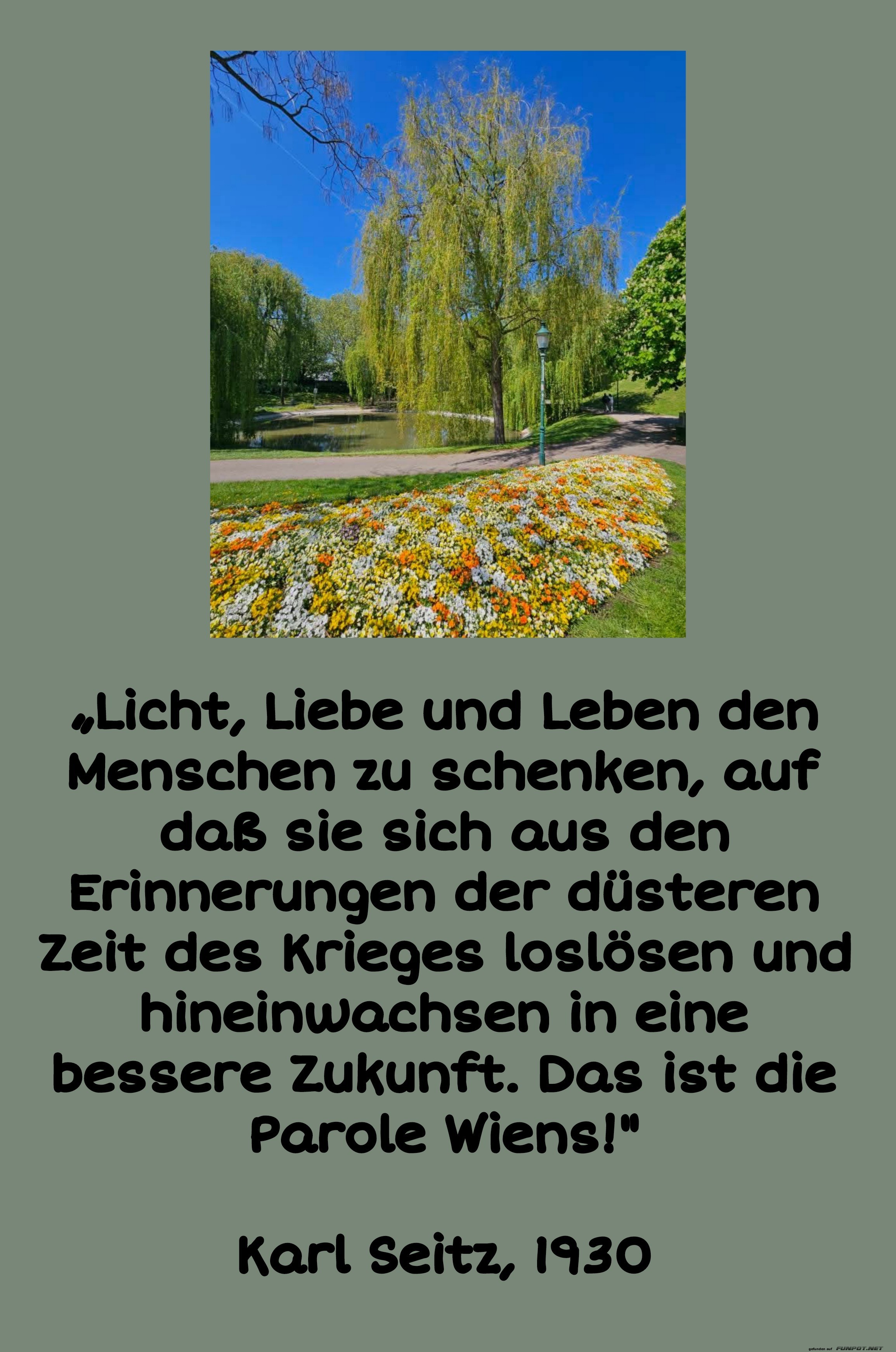 licht, liebe leben